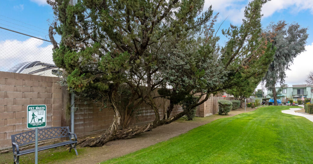 Greenwood Apartments Selma CA
